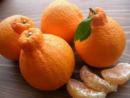 Dekopon Citrus