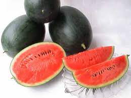 Densuke Watermelon