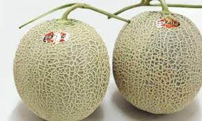 Yubari Muskmelon