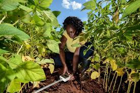 Soil Testing Methods